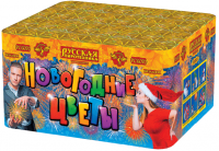 Новогодние цветы Фейерверк купить в Удомле | udomlya.salutsklad.ru