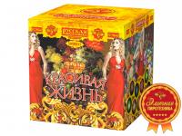 Красивая жизнь Фейерверк купить в Удомле | udomlya.salutsklad.ru