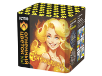 С огоньком! Фейерверк купить в Удомле | udomlya.salutsklad.ru