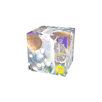 Новогодняя ночь Салют купить в Удомле | udomlya.salutsklad.ru