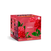 Пионы Салют купить в Удомле | udomlya.salutsklad.ru