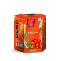 Тюльпаны Салют купить в Удомле | udomlya.salutsklad.ru