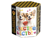 Счастье есть! Салют купить в Удомле | udomlya.salutsklad.ru