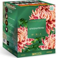 Хризантемы Фейерверк купить в Удомле | udomlya.salutsklad.ru