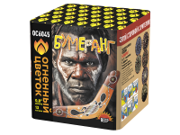 Бумеранг Батарея салютов купить в Удомле | udomlya.salutsklad.ru