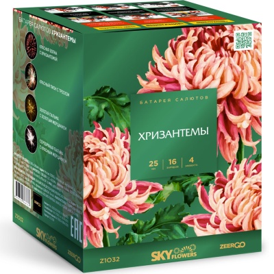 Хризантемы Фейерверк купить в Удомле | udomlya.salutsklad.ru