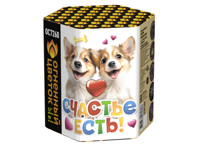 Счастье есть! Салют купить в Удомле | udomlya.salutsklad.ru